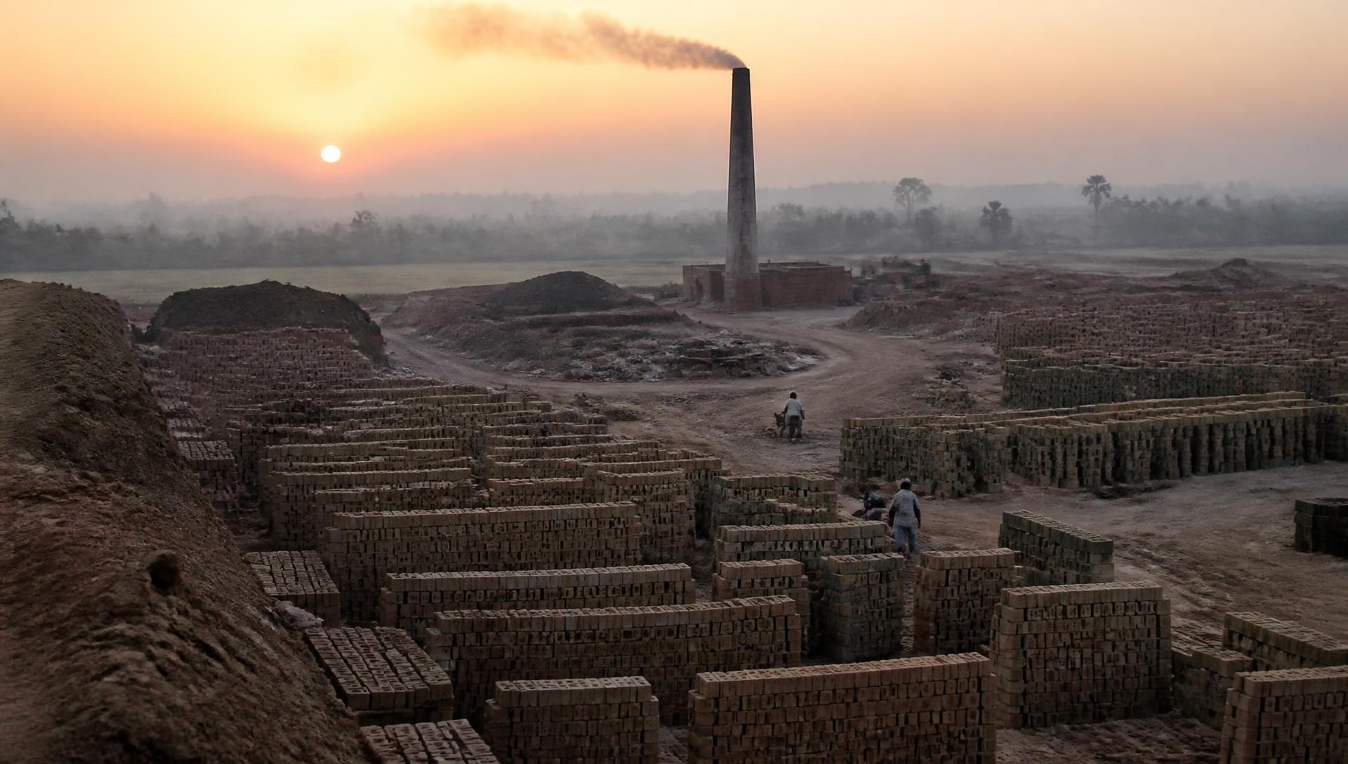 Rows of drying clay bricks in a rural kiln field at dawn